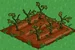 Soybean withered