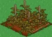 Raspberry withered