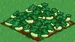 Pattypan Squash 100