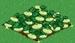 Pattypan Squash extra100