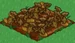 Pattypan Squash withered