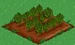 Carrot 33