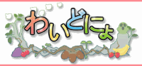 Widenyo - banner