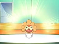 EP439 Castform