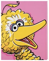 Vandor canvas bigbird