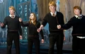 Weasleys'.jpg