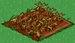 Squash withered