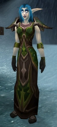 Darnassus Valiant