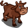 Found Brown Cow.png
