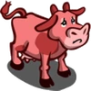 Found Pink Cow