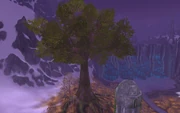 Great Tree Crystalsong.jpg