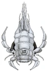 Sacktick