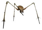 Strider crouched.jpg