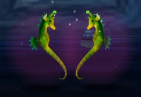 Seahorses
