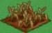 Broccoli withered