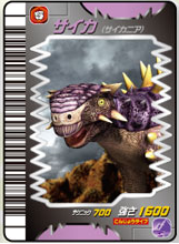 Tank card