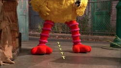 4203f.jpg