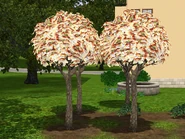 Money-tree-ts3