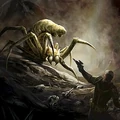 Cavern Spider.jpg