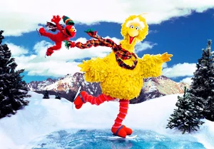 Kodak big bird
