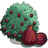 Image:Fig Tree-icon.png