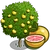 Grapefruit Tree-icon.png