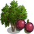 Passion Fruit Tree-icon.png