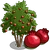 Pomegranate Tree-icon.png