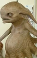Grindylo gof.PNG
