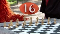 Murray16.jpg