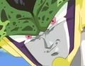 Perfectcell1jan