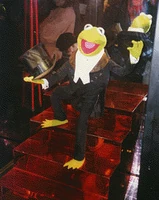 TheVisionOfJimHenson-Gera-kermit