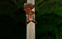Imprisoned Monkey