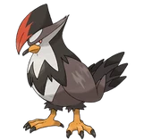 Staraptor