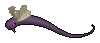 Aurabora