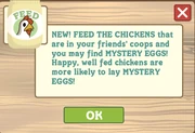Feed the chicken