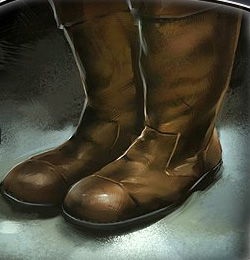 Standard Boots