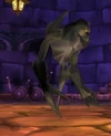 Shade of Naxxramas