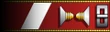 Epaulet insignia.