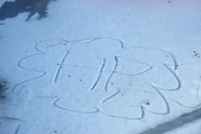 HPsnow