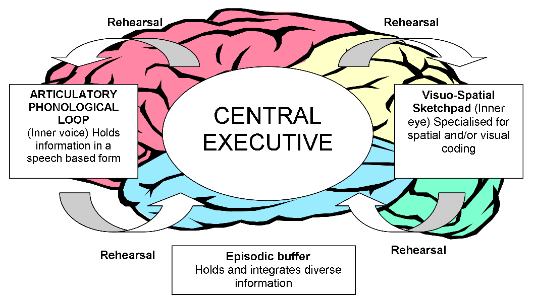 Central Executive Definition