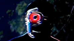 113 VISION