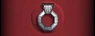 Sleeve insignia.