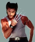 Wolverine