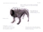 Houndeye concept2