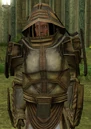 CarlMosik-SWG.jpg