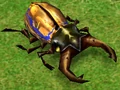 Scarab.jpg