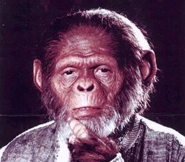 Thinking