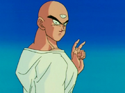 Tenshinhan9