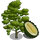 Durian Tree-icon